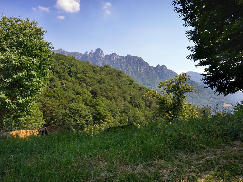 Image 7 - Riserva forestale dei Denti della Vecchia