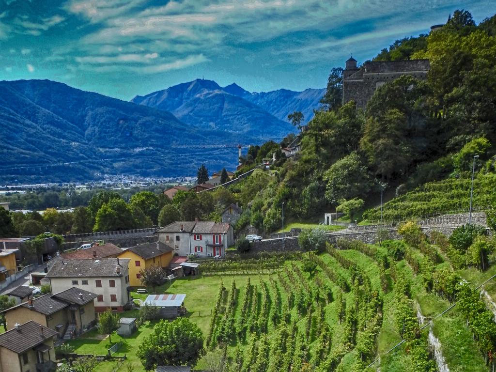 Image 2 - Wine cellar Settemaggio	