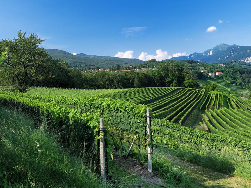 Image 1 - Montalbano