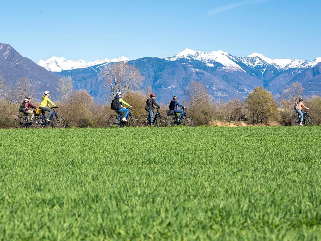 Image 2 - Agriesperienza - Cantina alla Maggia & Terreni alla Maggia