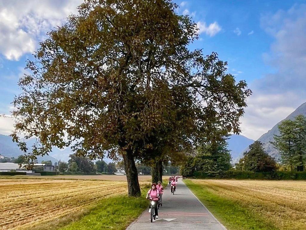 Image 3 - Camélias & lac en vélo électrique