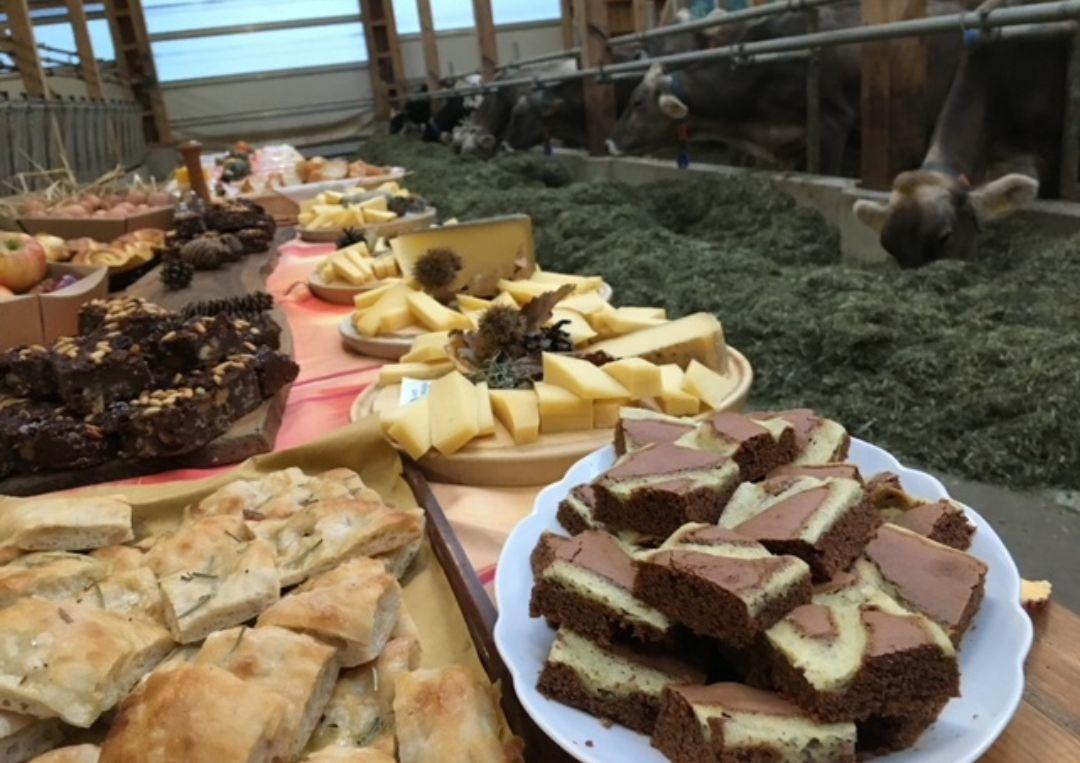 Image 7 - Azienda agricola Croce