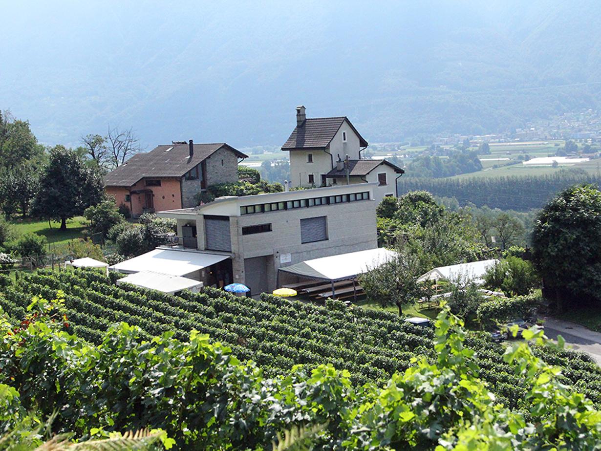 Image 2 - Cantina Ramelli