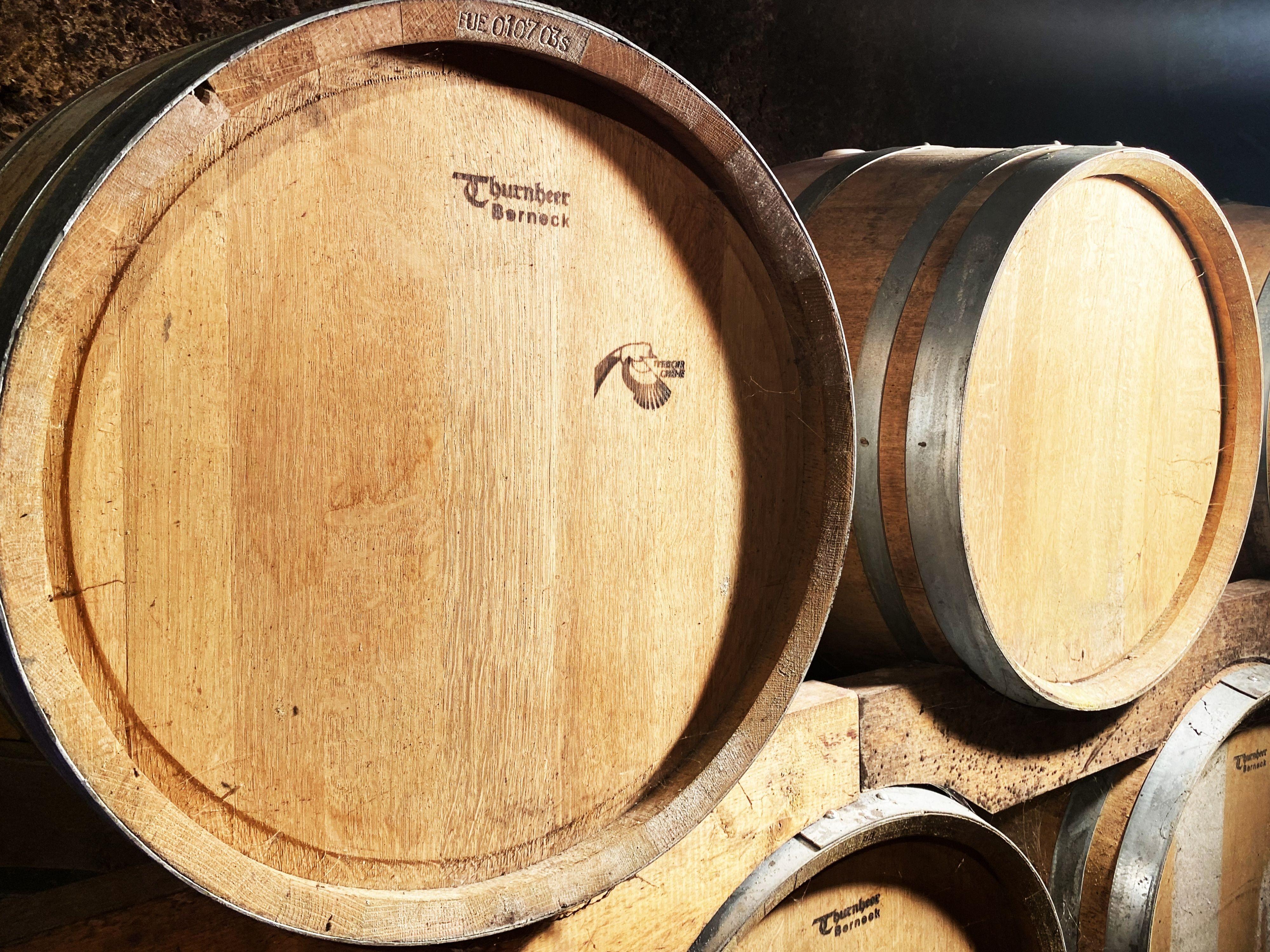 Image 2 - Azienda Vitivinicola I Fracc