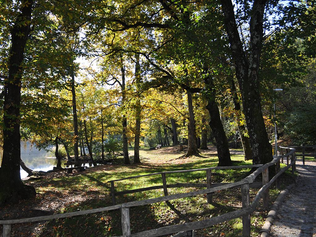 Image 6 - Laghetto di Origlio