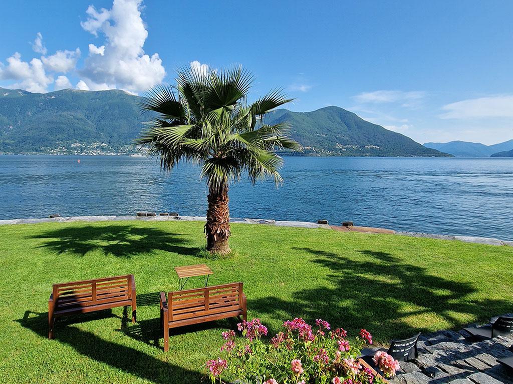 Image 2 - Crodolo Palm & Beach di Flavia Cacciapuoti