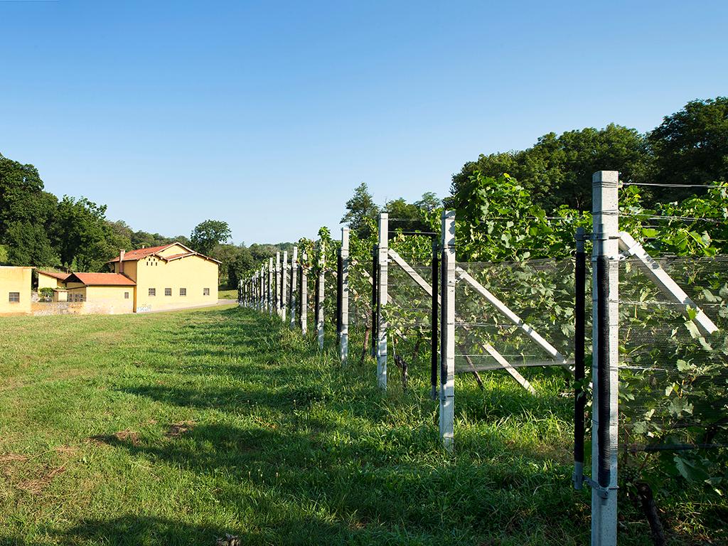 Image 1 - Cave vinicole Ferrari Roberto et Andrea