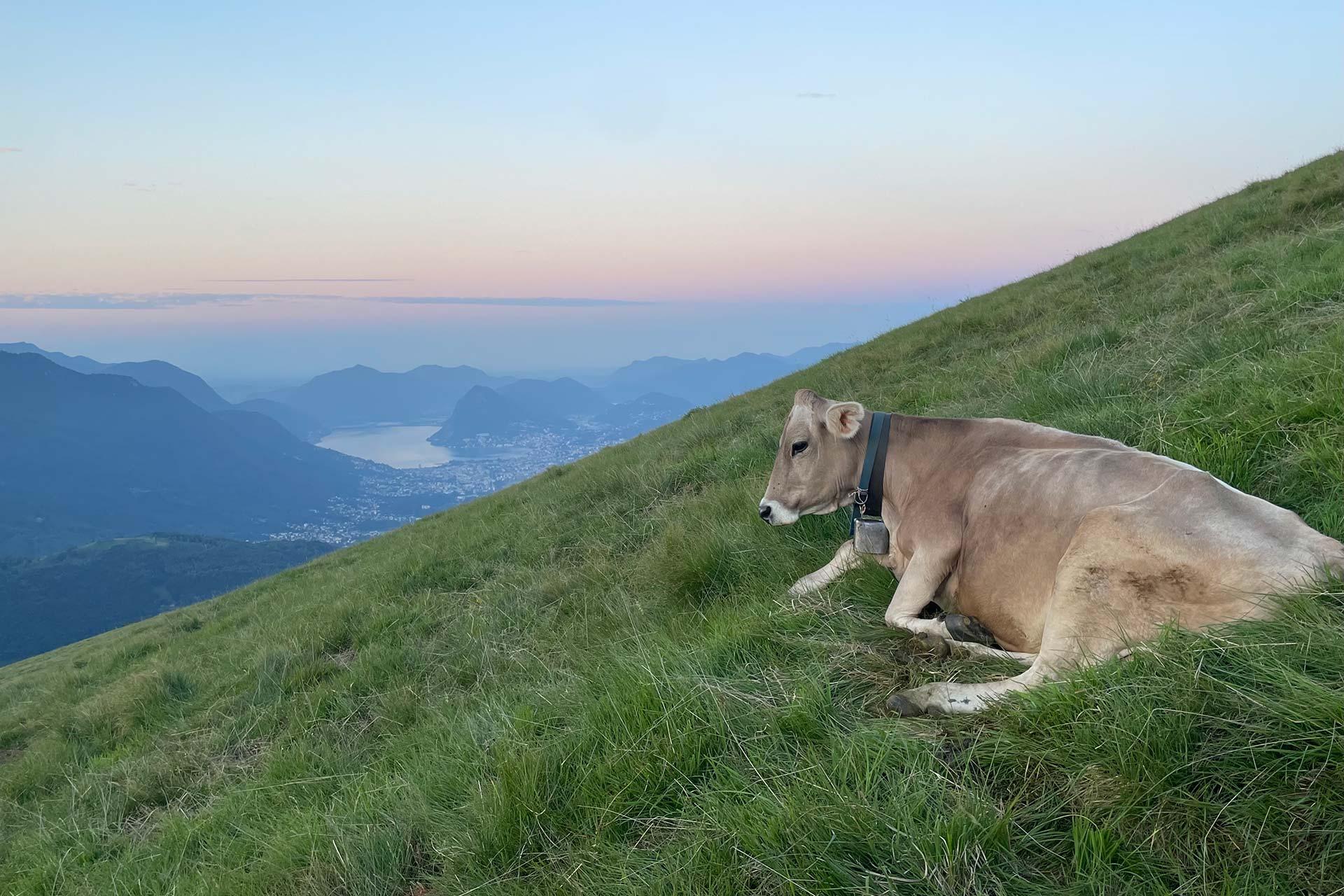 Image 3 - Agriturismo e Alpe Rompiago