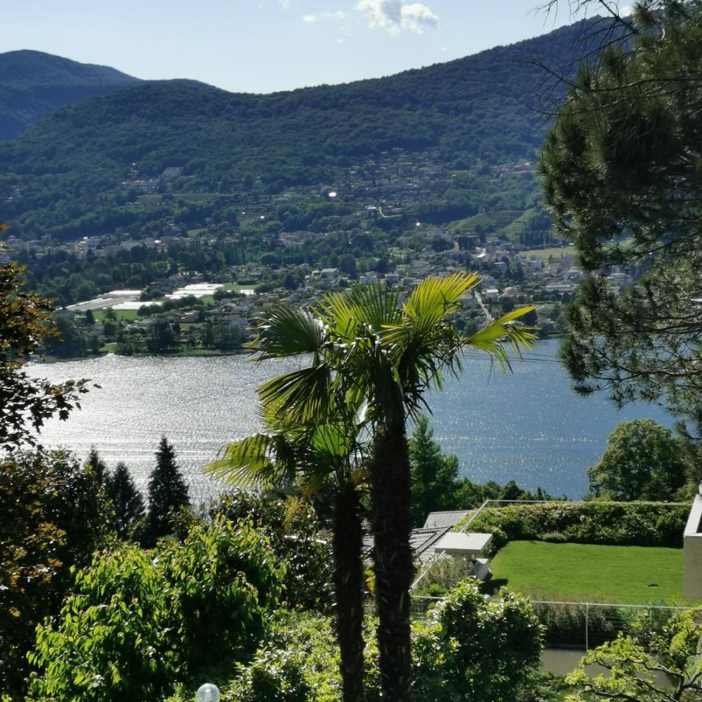 Image 0 - Casa le palme -Montagnola