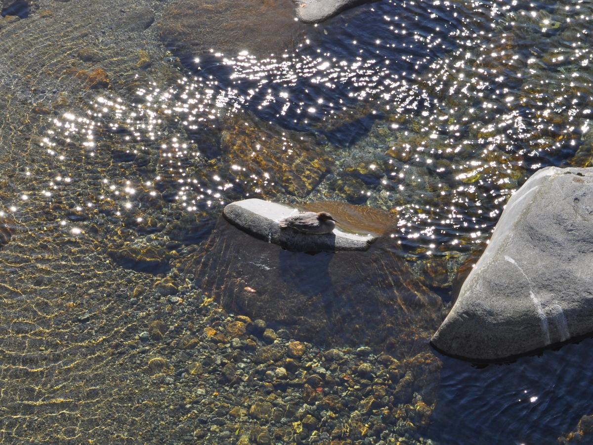 Image 4 - Oratorium S. Rocco