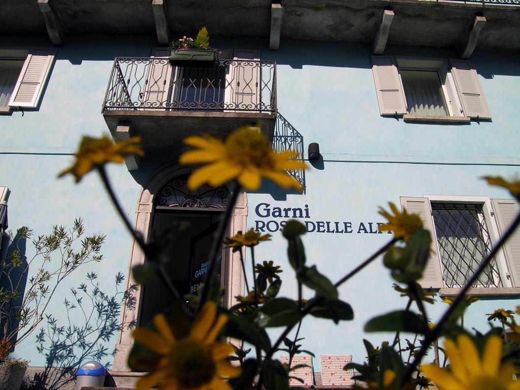 Image 5 - Rosa delle Alpi Garni