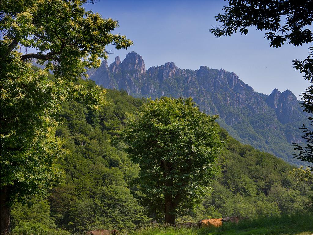 Image 0 - Riserva forestale dei Denti della Vecchia