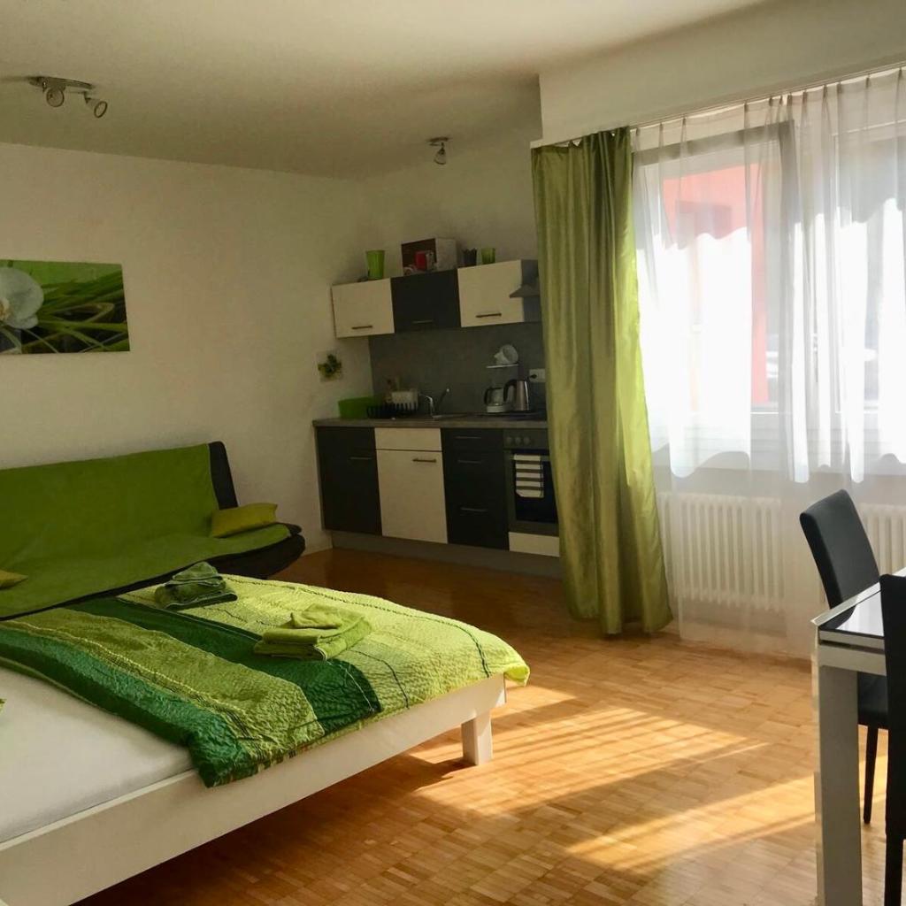 Image 0 - Apartment al Lido Ascona