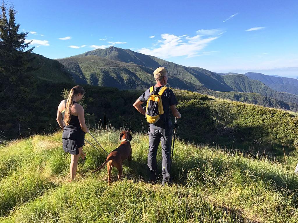 Image 9 - Vacanze a piedi: Sentiero Lago di Lugano 