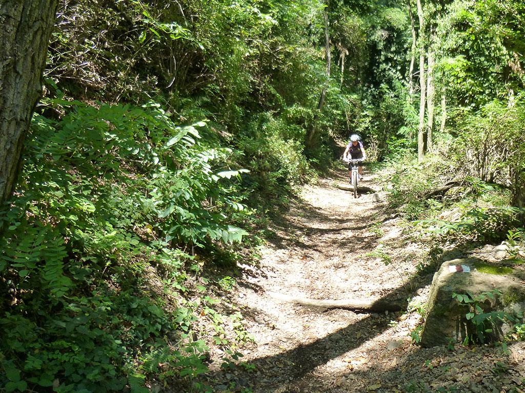 Image 3 - Mountain Bike Offer - Hotel Serpiano