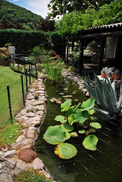 Image 8 - Camping ai Bosconi