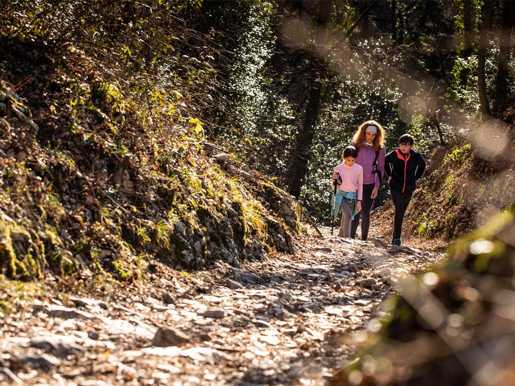 Image 2 - Monte San Giorgio, ein Meer voller Erinnerungen