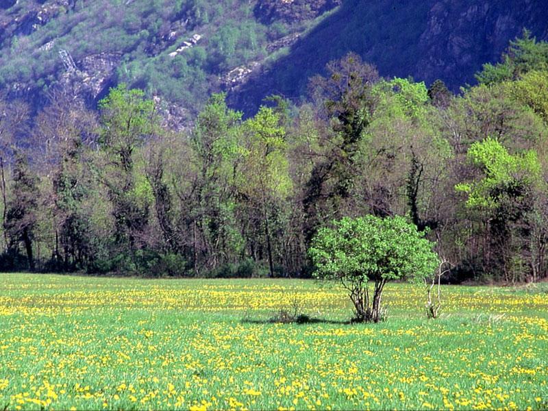 Image 0 - Rifugio protezione civile