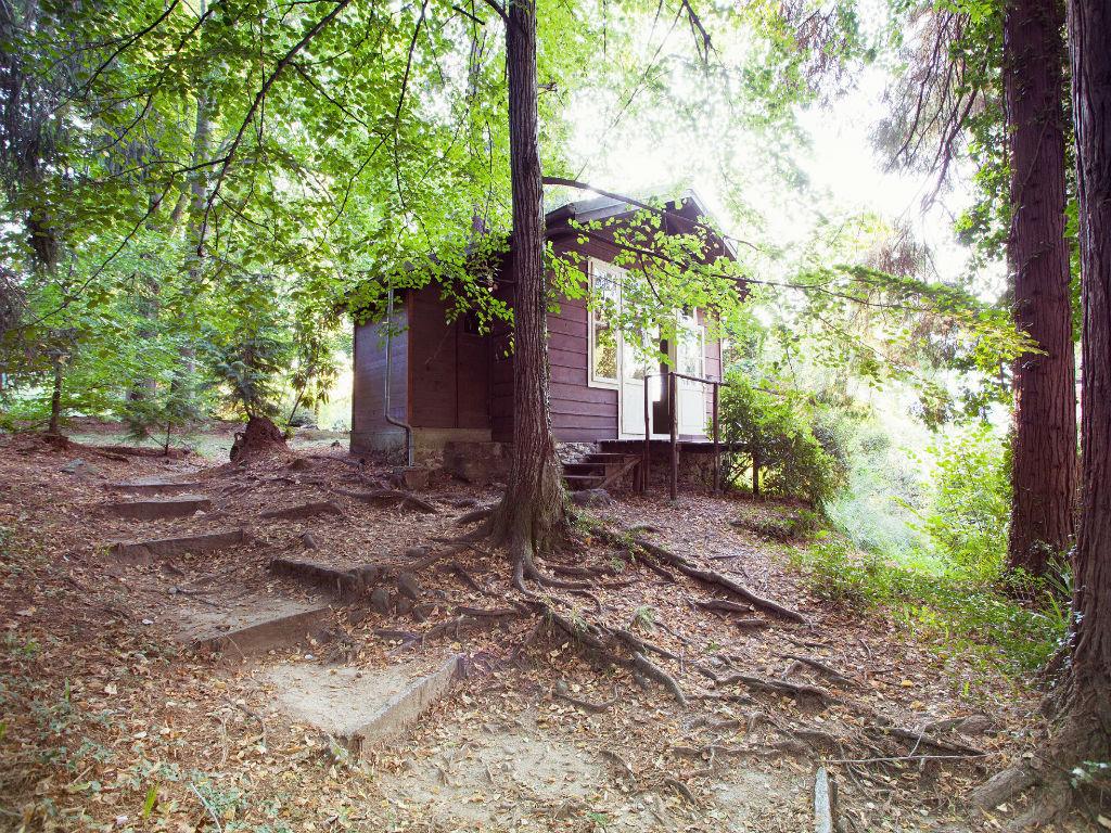 Image 11 - Monte Verità Park