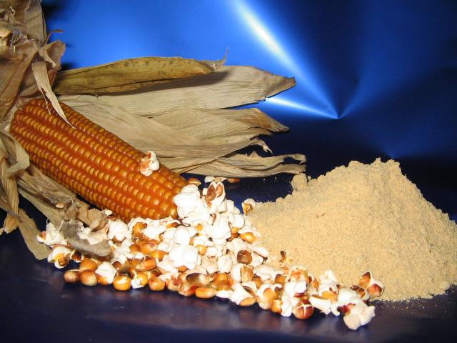 Image 1 - Slow Food Ticino