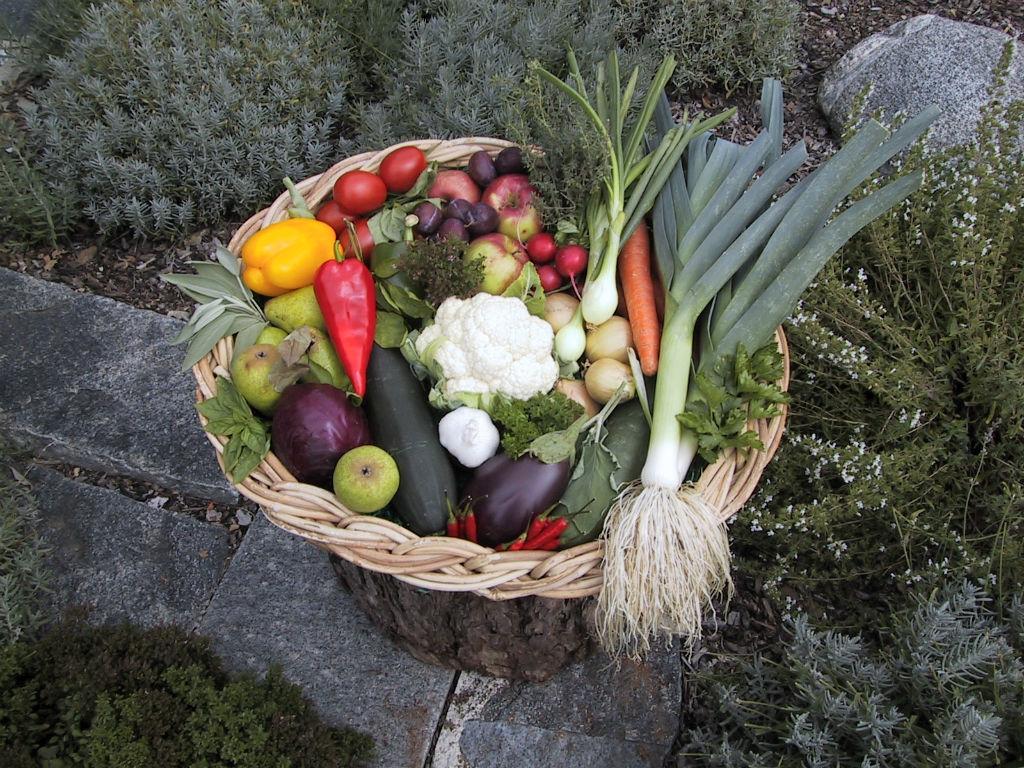 Image 7 - Sonja Eichholzer - hausgemachtes.ch