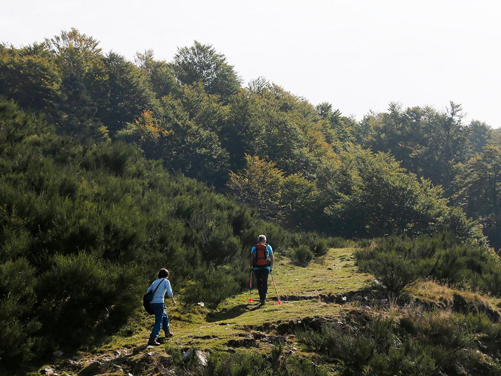 Image 3 - Wanderferien: Tessiner Highlights