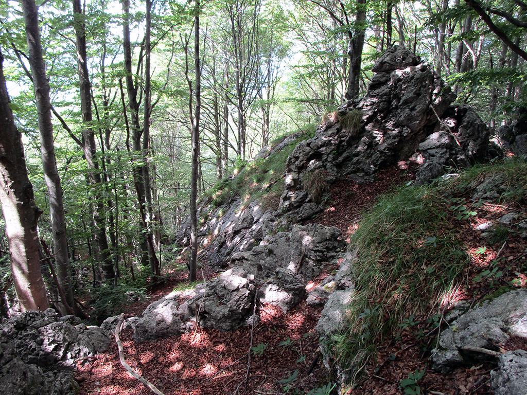 Image 9 - Riserva forestale dei Denti della Vecchia