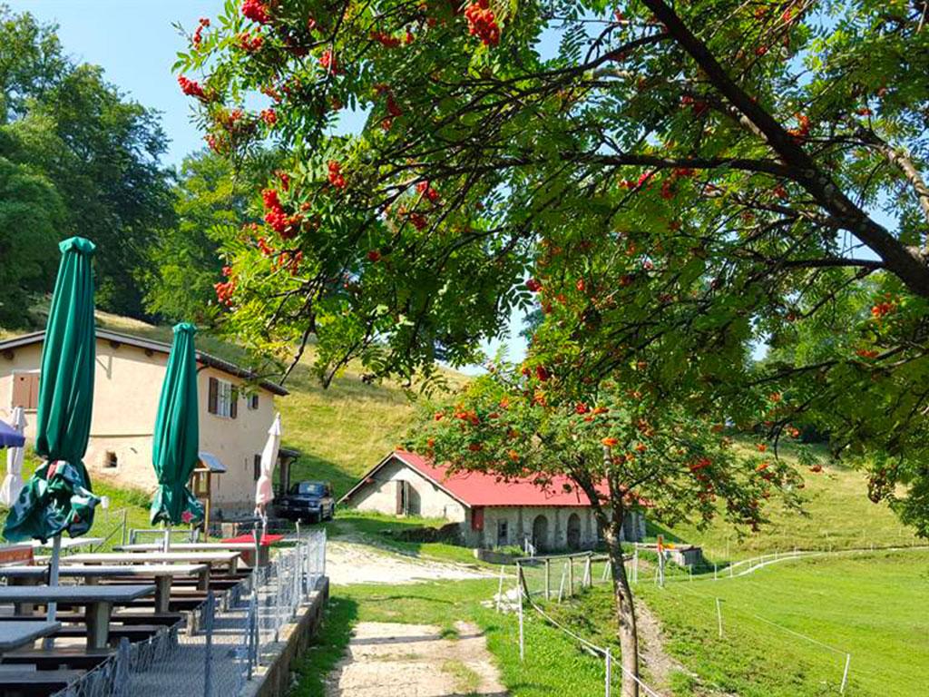 Image 3 - Capanna Alpe Bolla