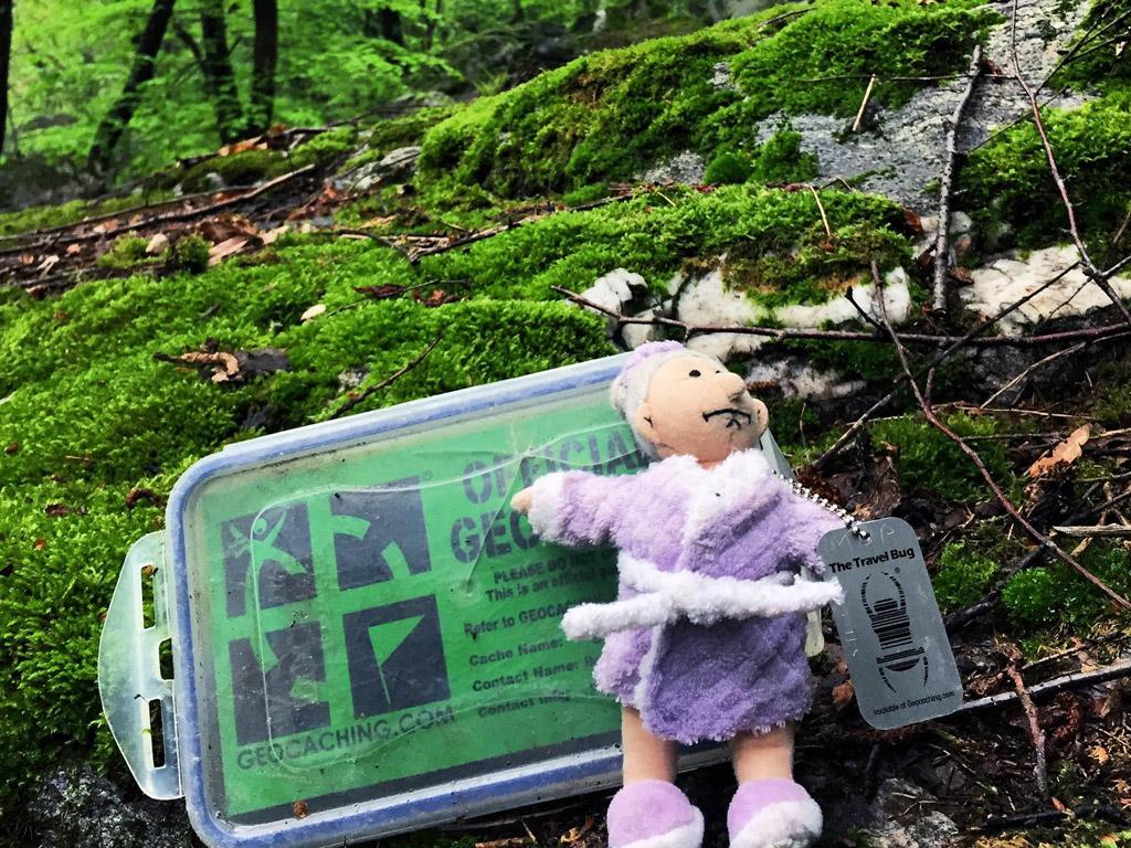 Image 1 - Parc de jeux Arca di Noè, Locarno-Cardada