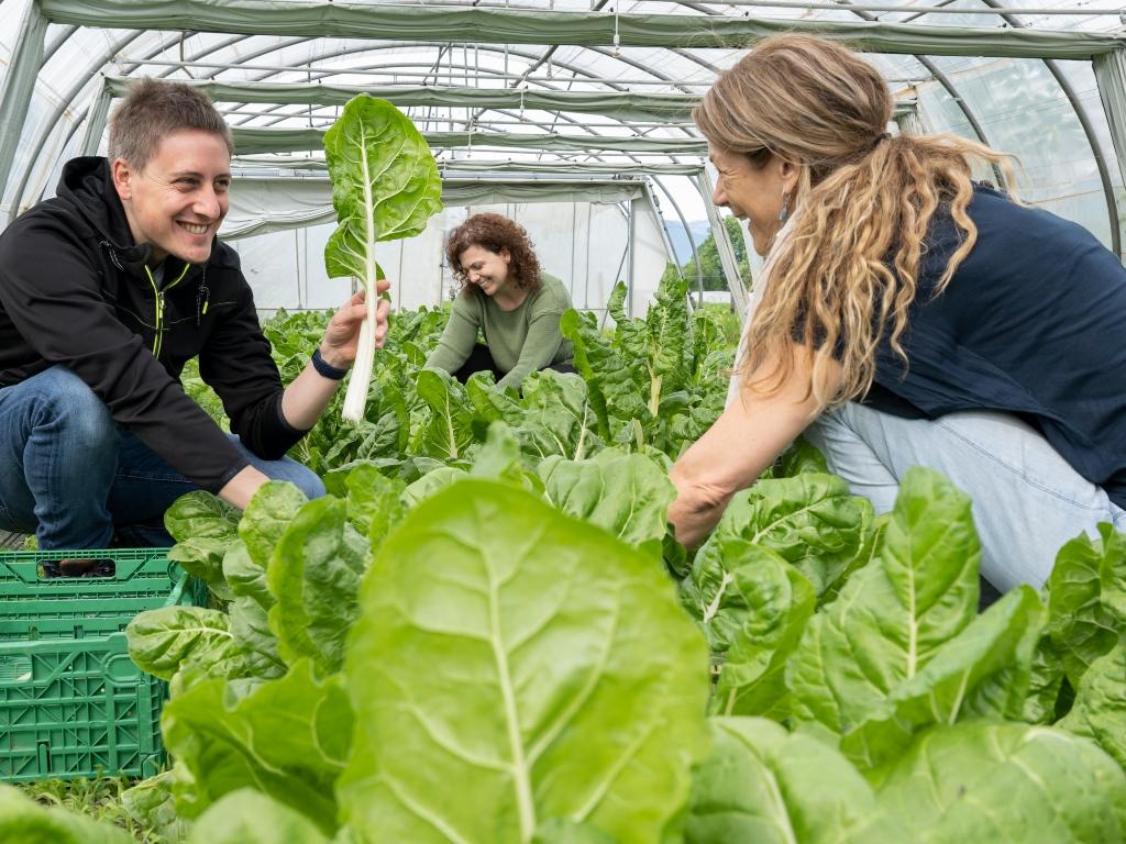 Image 0 - Agriesperienza - Azienda Catibio