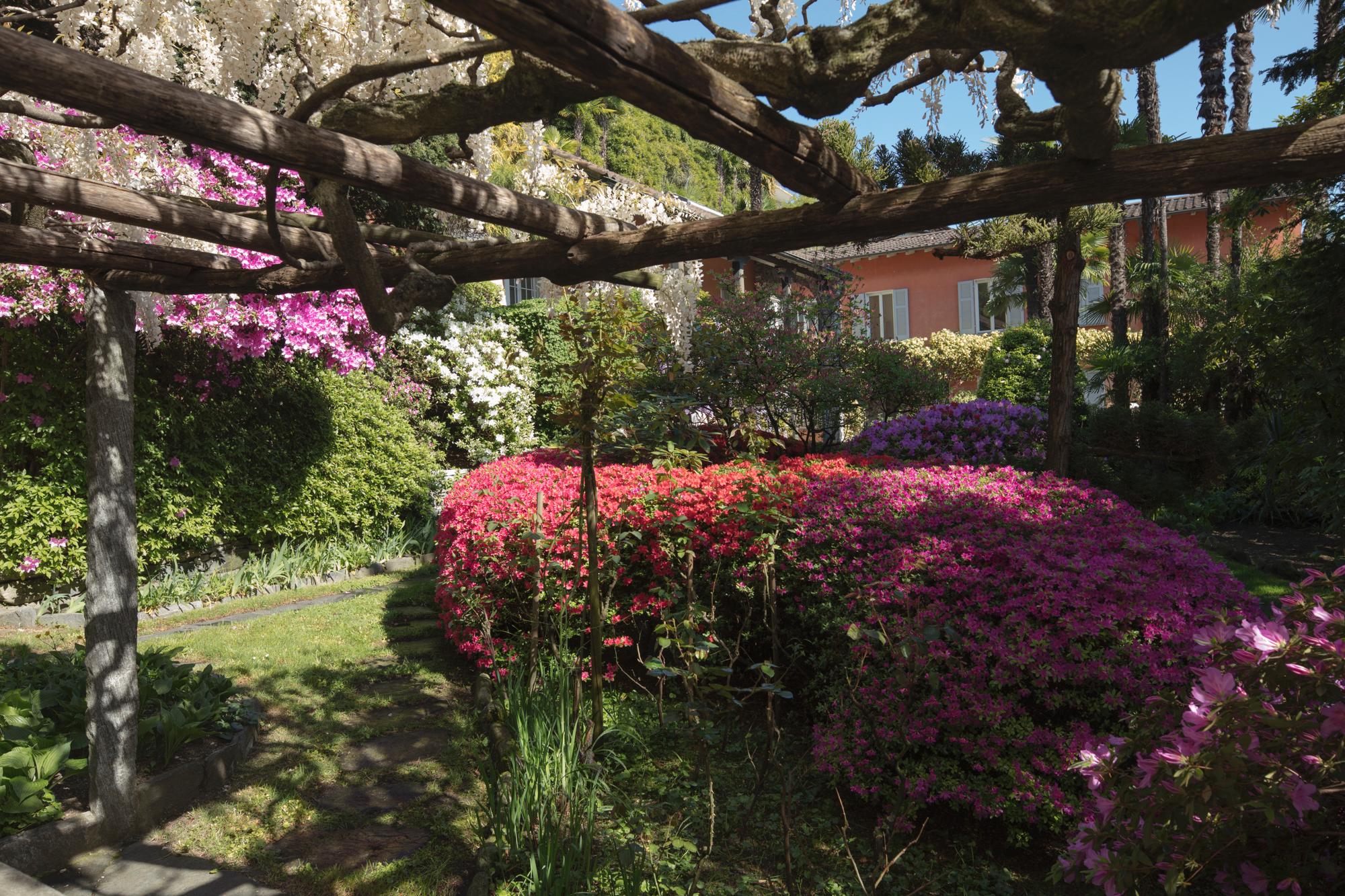 Image 2 - Fondazione Marguerite Arp