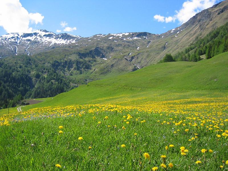 Image 3 - Ristorante Casa Greina