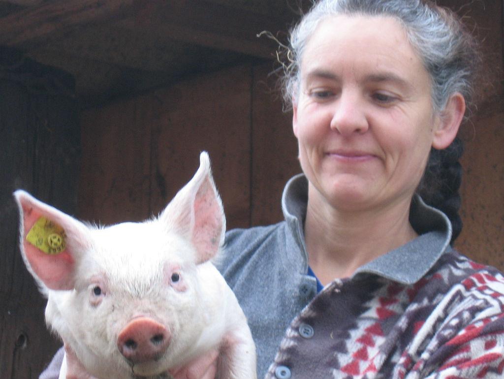 Image 0 - Azienda agricola Rampiga