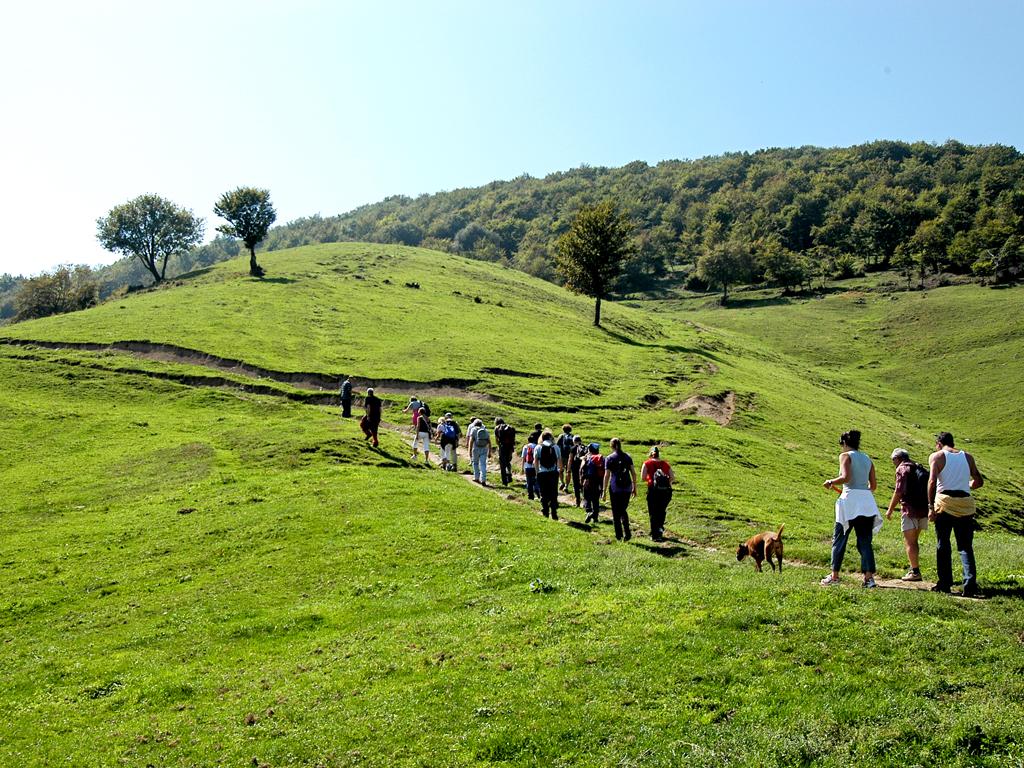 Image 6 - Monte Generoso