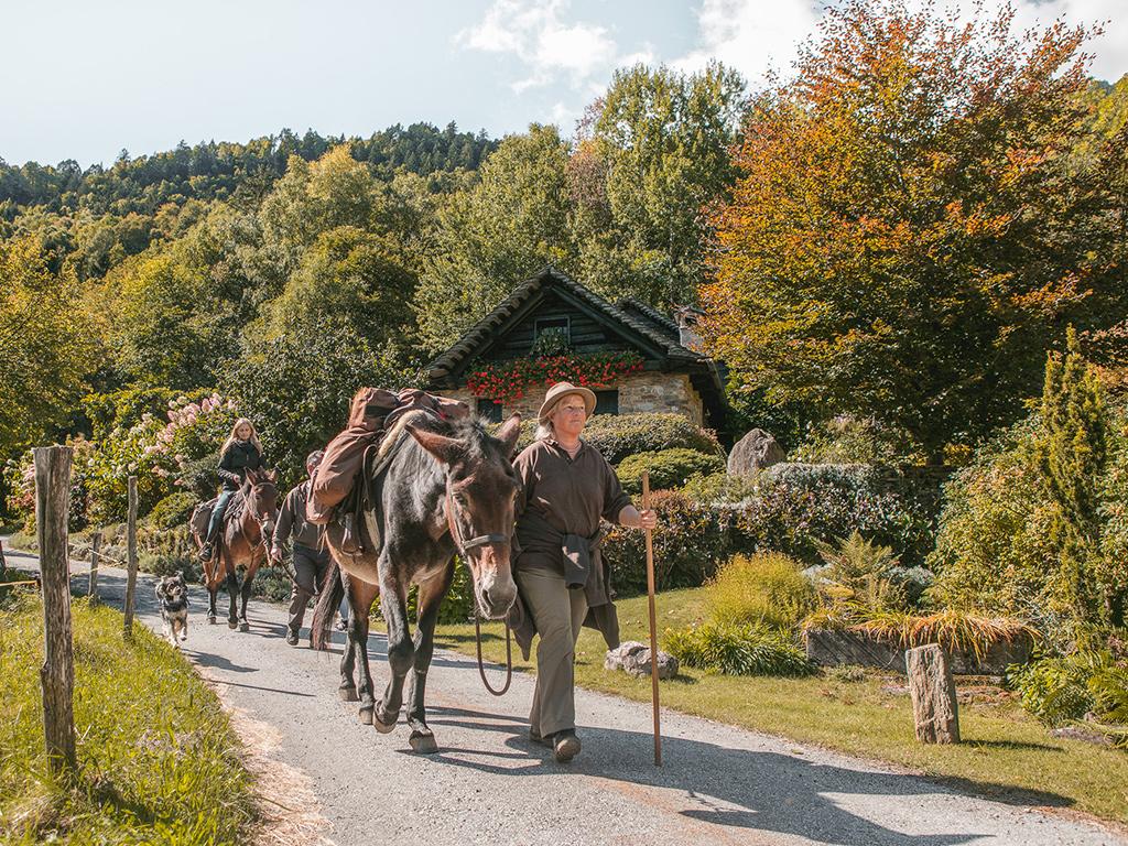 Image 4 - SOMARELLI - Trekking und Abenteuer mit Tieren