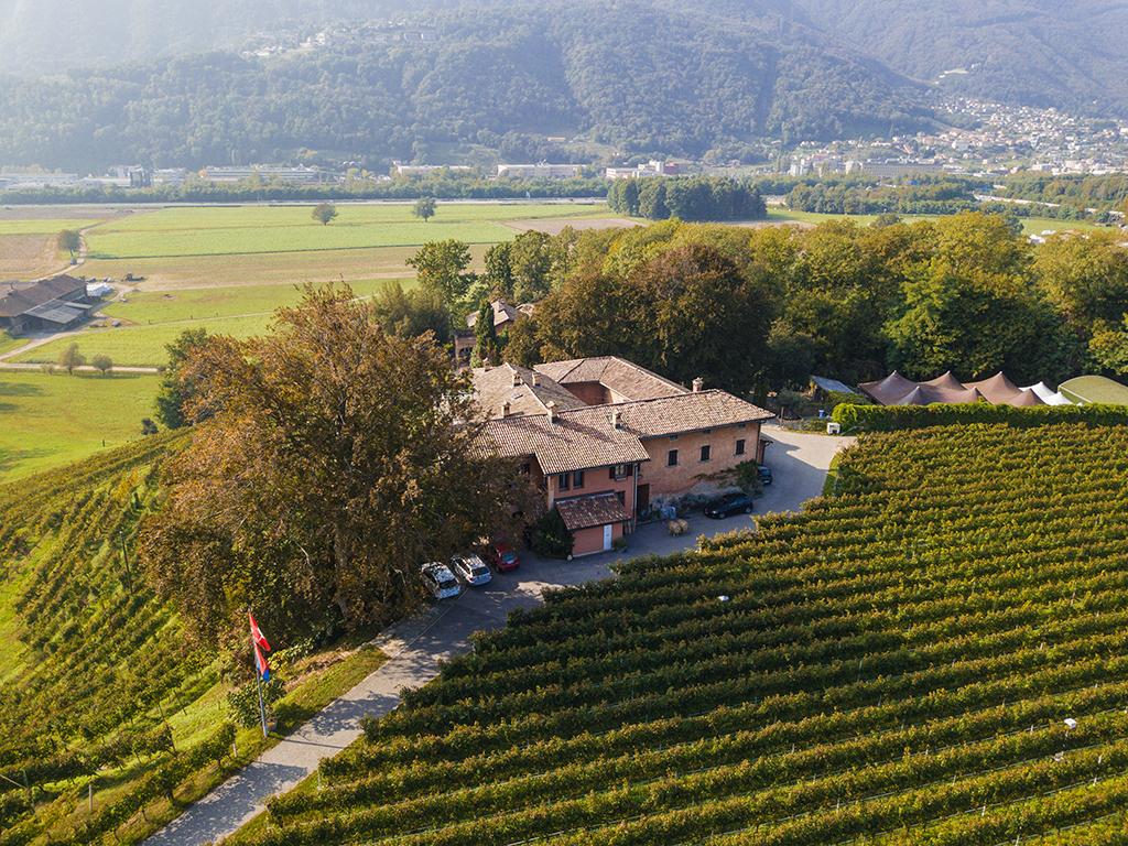 Image 0 - Tenuta Bally & Von Teufenstein - 0 Image 0 -