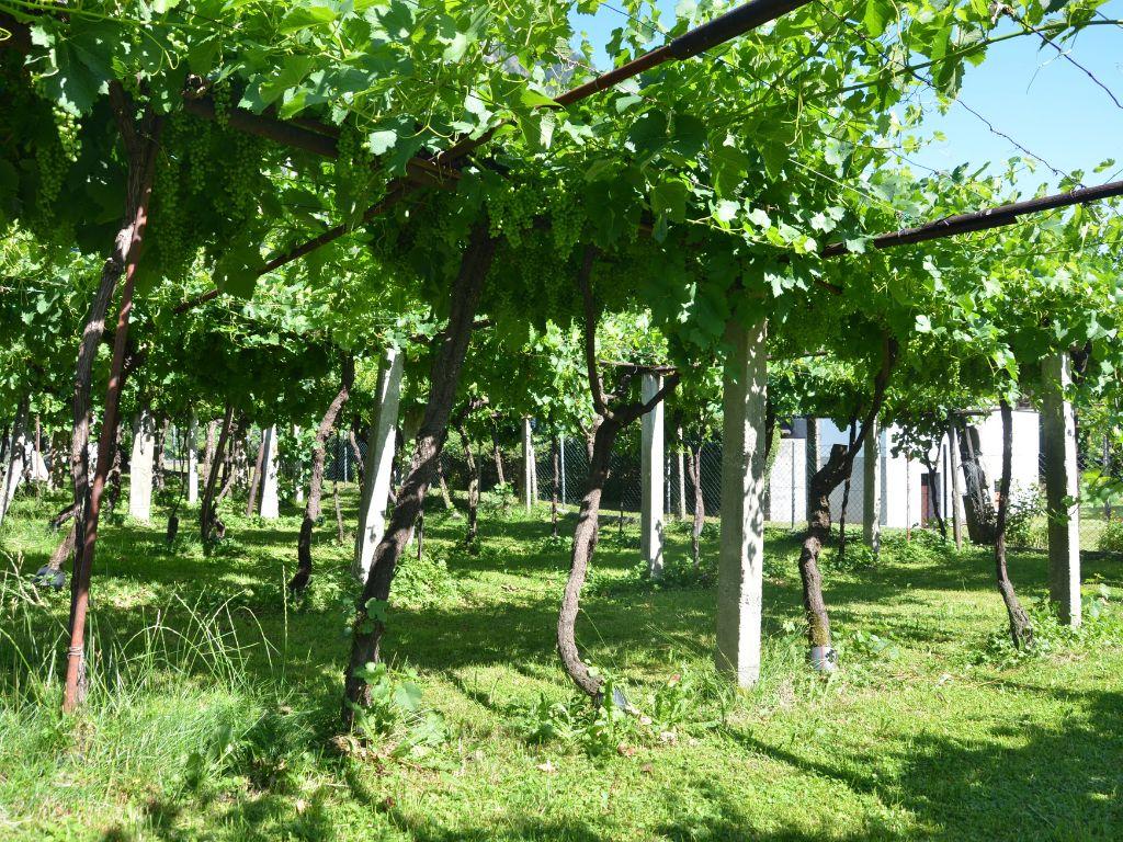 Image 4 - Fratelli Meroni 