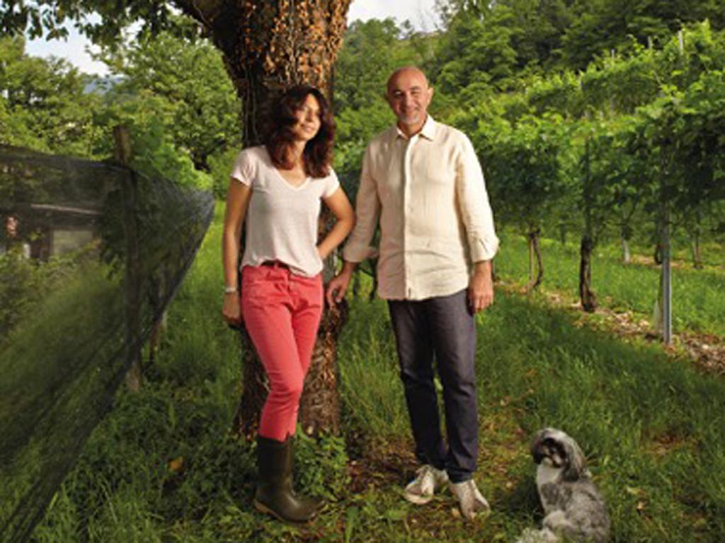 Image 2 - Cantina vinicola Cormano