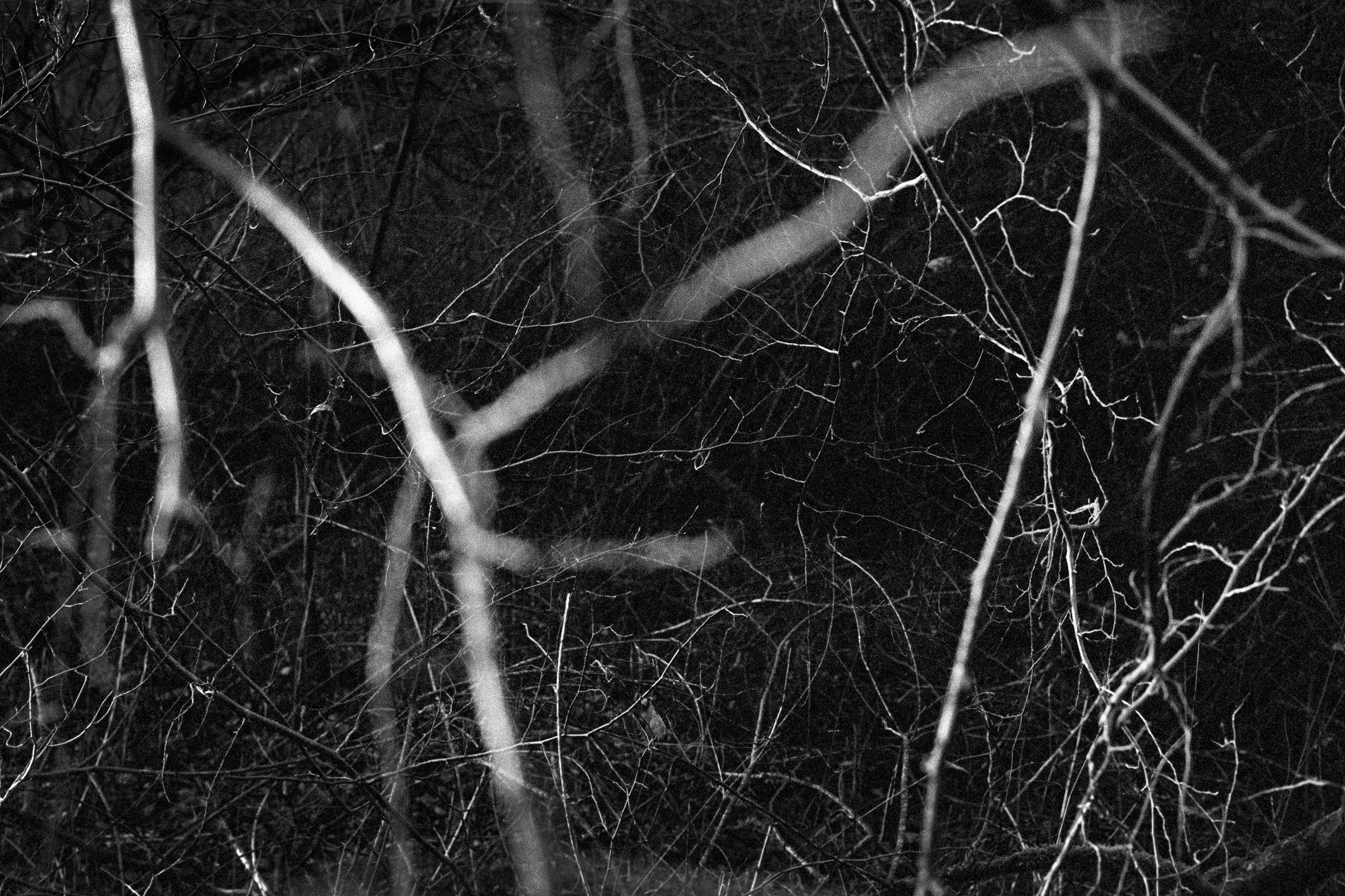 Image 1 - 