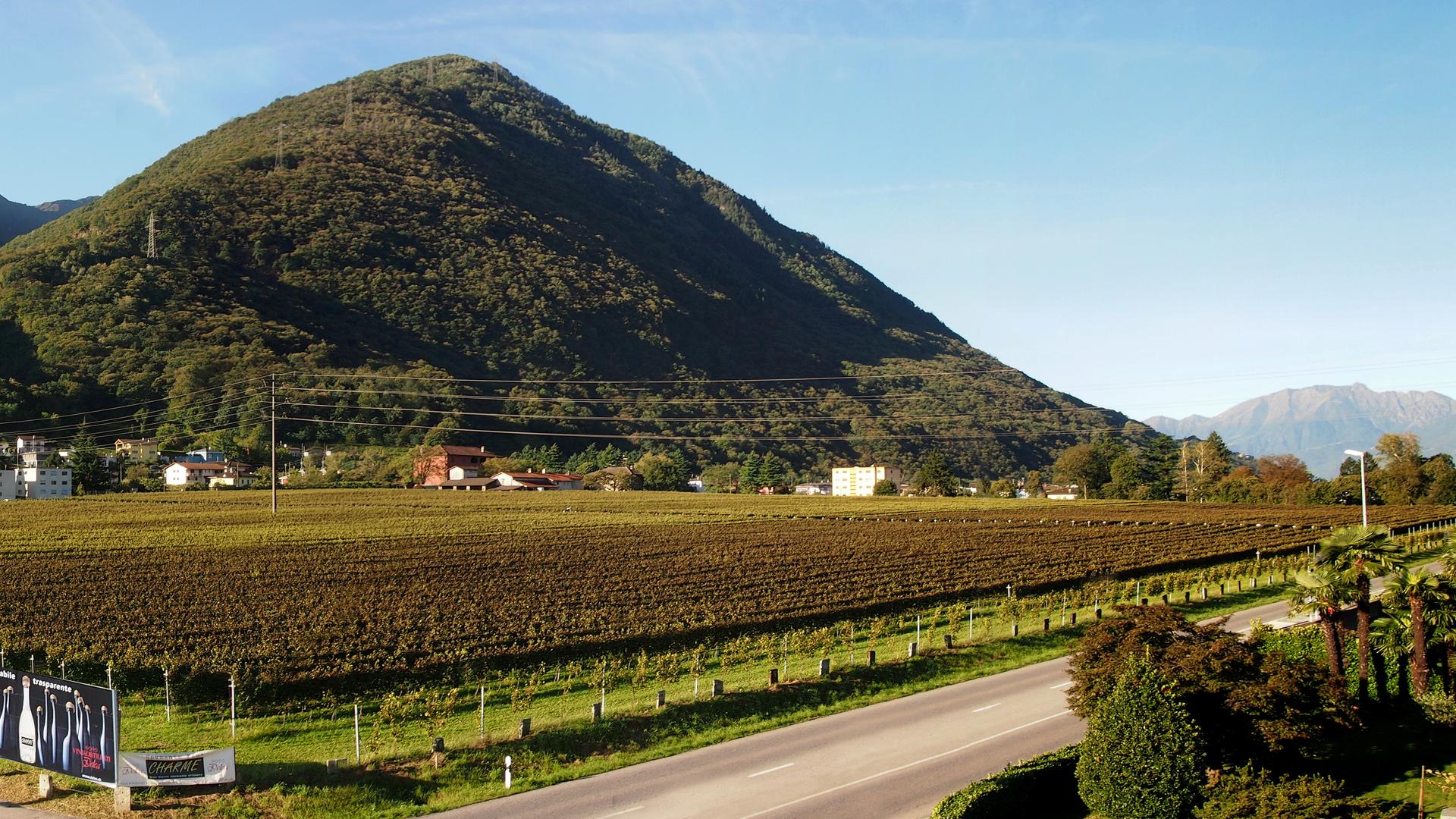 Image 5 - Vini & Distillati Angelo Delea SA