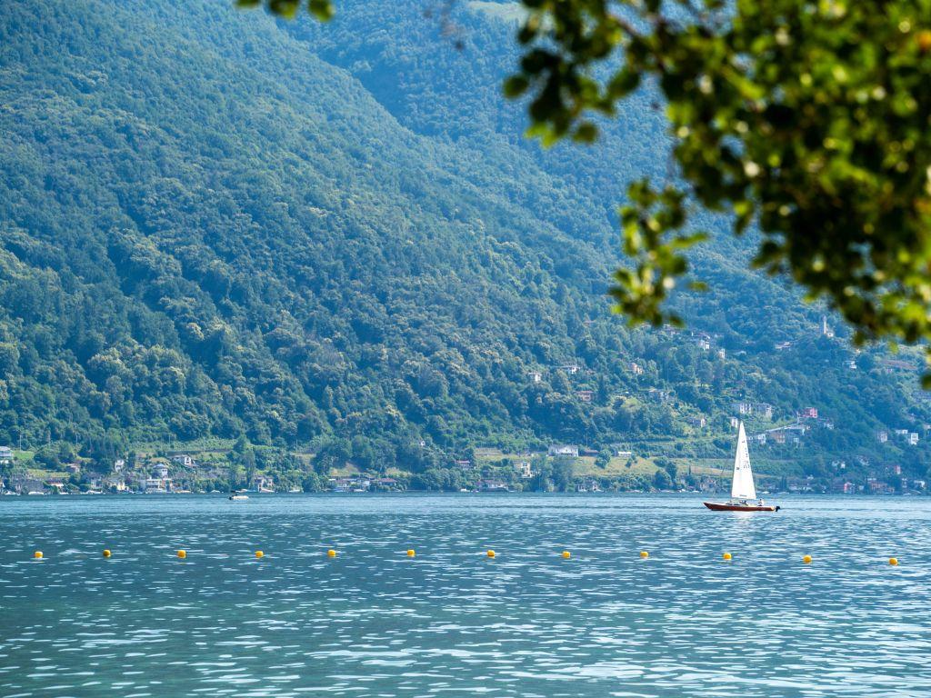 Image 2 - Lido Ascona