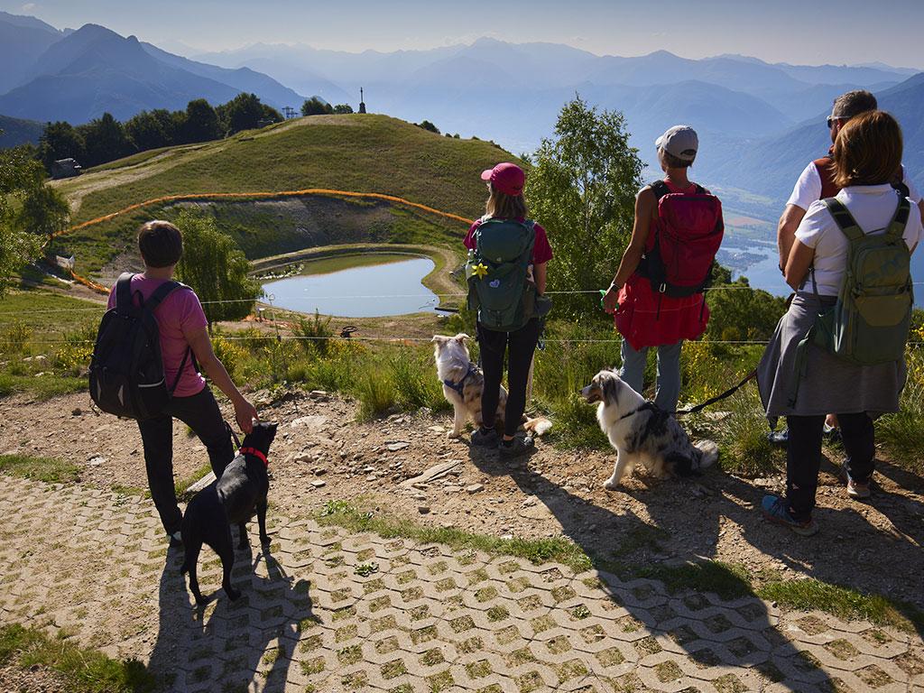 Image 9 - Cardada Cimetta