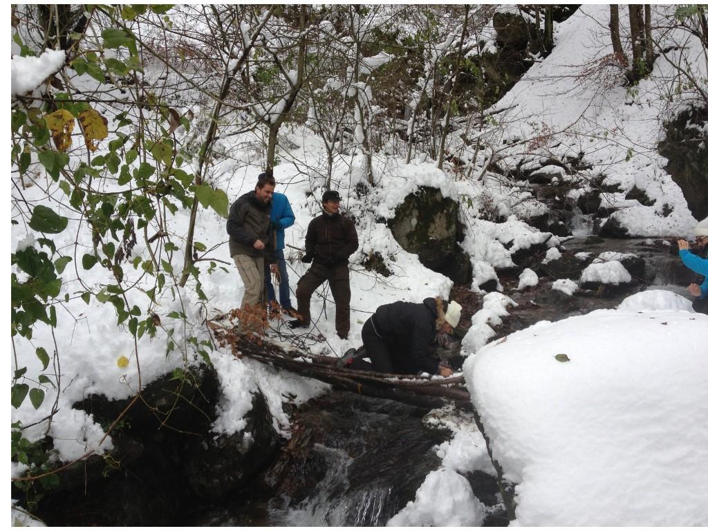 Image 0 - OUT OF THE WOODS. Survival experience