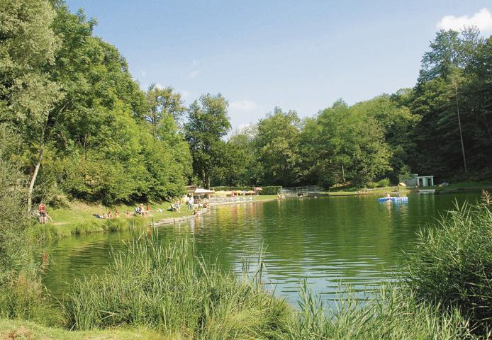 Image 2 - Camping Al Laghetto