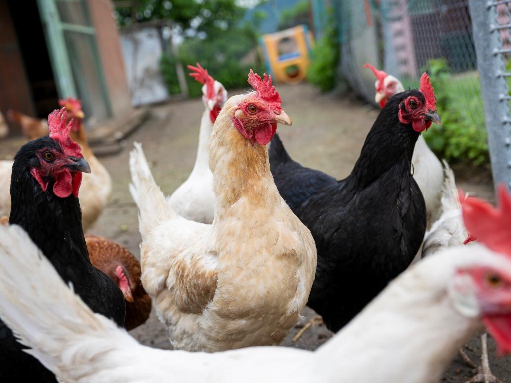 Image 6 - Agriesperienza - Azienda Scoglio