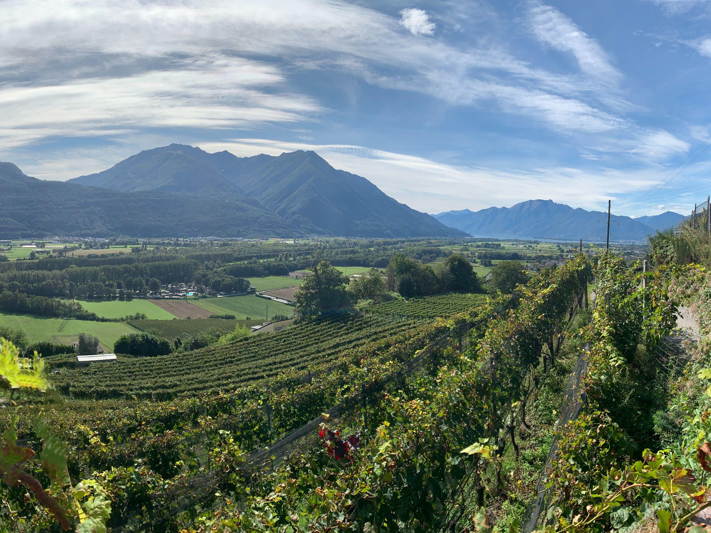 Image 7 - Weinkeller “La Segrisola”