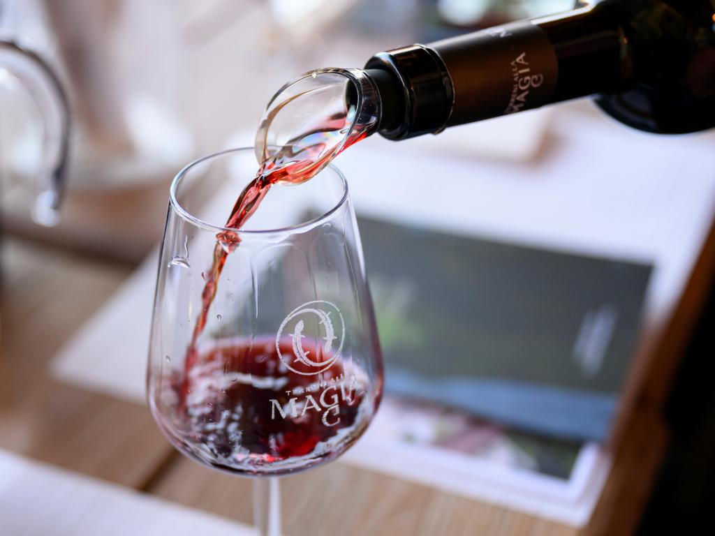 Image 4 - Agriesperienza - Cantina alla Maggia & Terreni alla Maggia