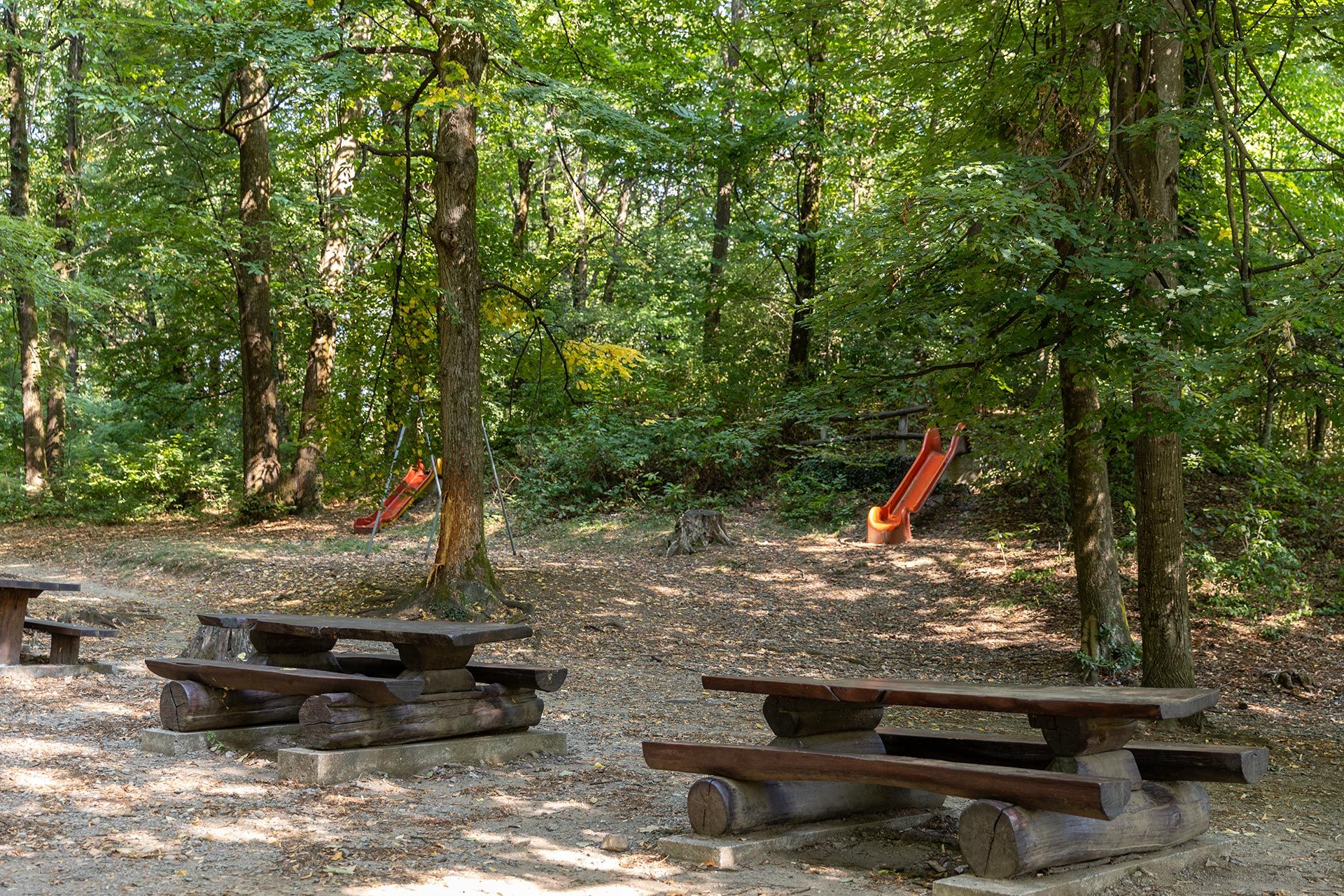 Image 3 - Picnic area – Bosco di Crano Ponte Capriasca