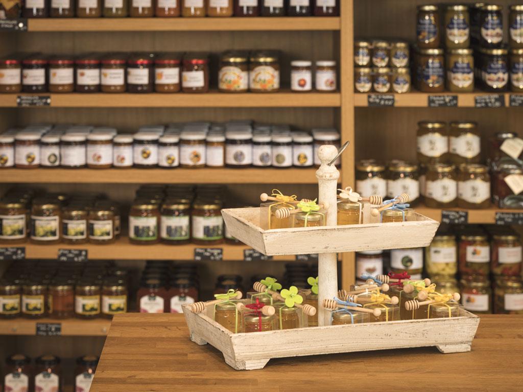 Image 2 - Ticino for you