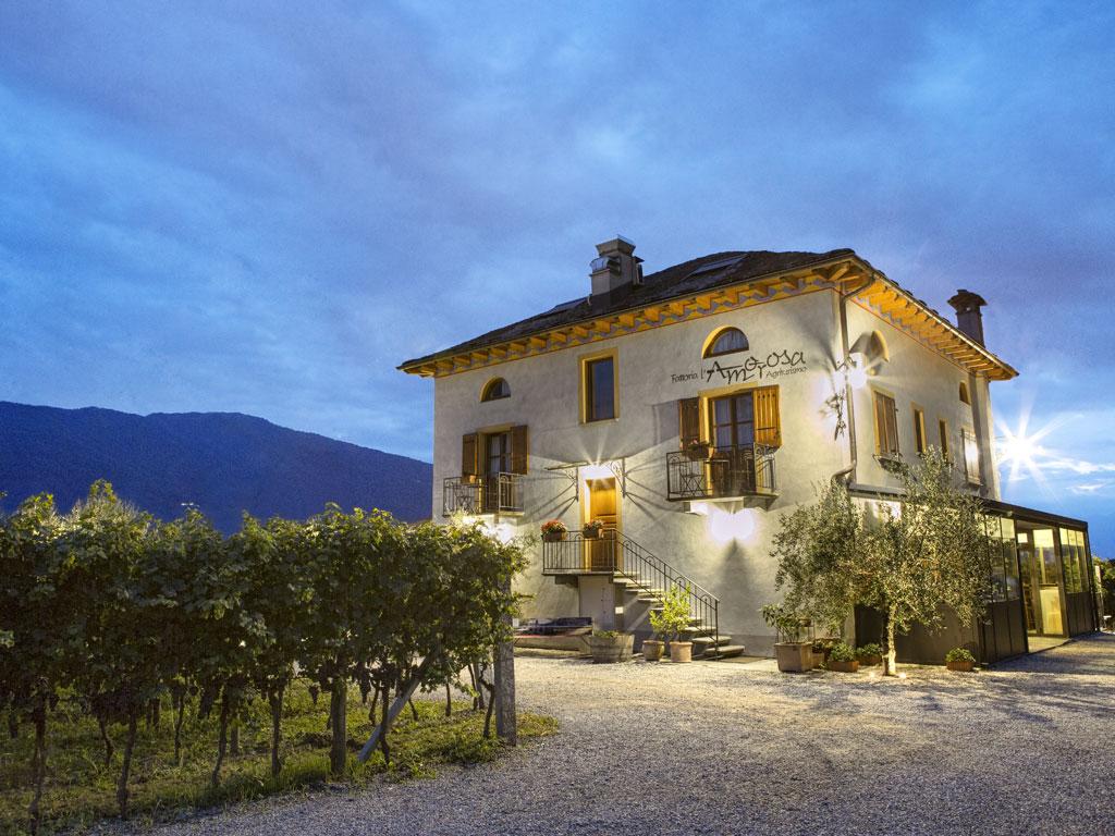 Image 0 - Fattoria l'Amorosa